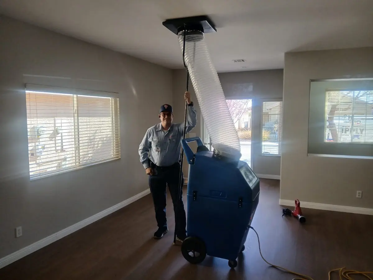 Professional Dryer Vent Cleaning work inside a Artondale home